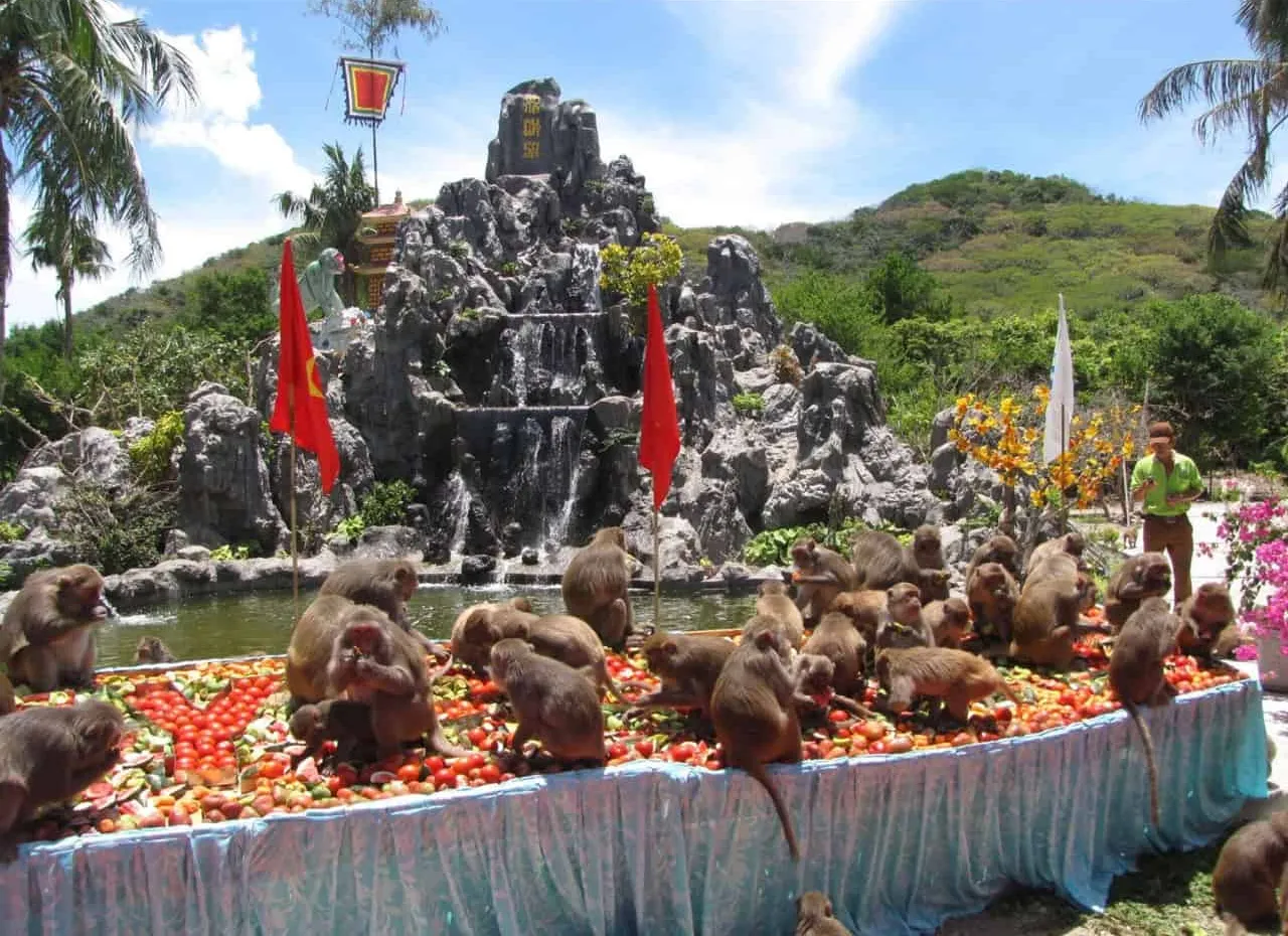 Hoa quả sơn đảo Khỉ