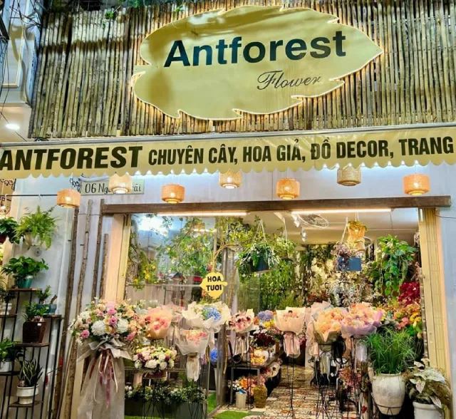 Shop hoa tươi Antforest Flower Nha Trang