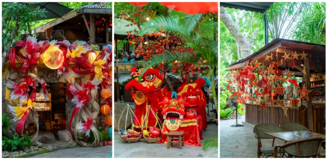 Cà phê Hoa Đồng Nội