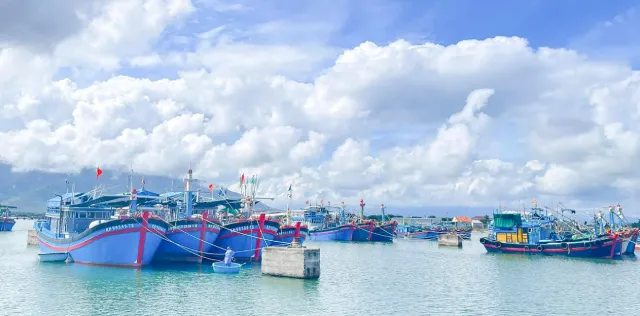 Pháo hoa tại Cảng cá Quảng Hội