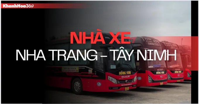 Nhà xe Nha Trang - Tây Ninh: Địa chỉ, SĐT, giá vé năm 2026