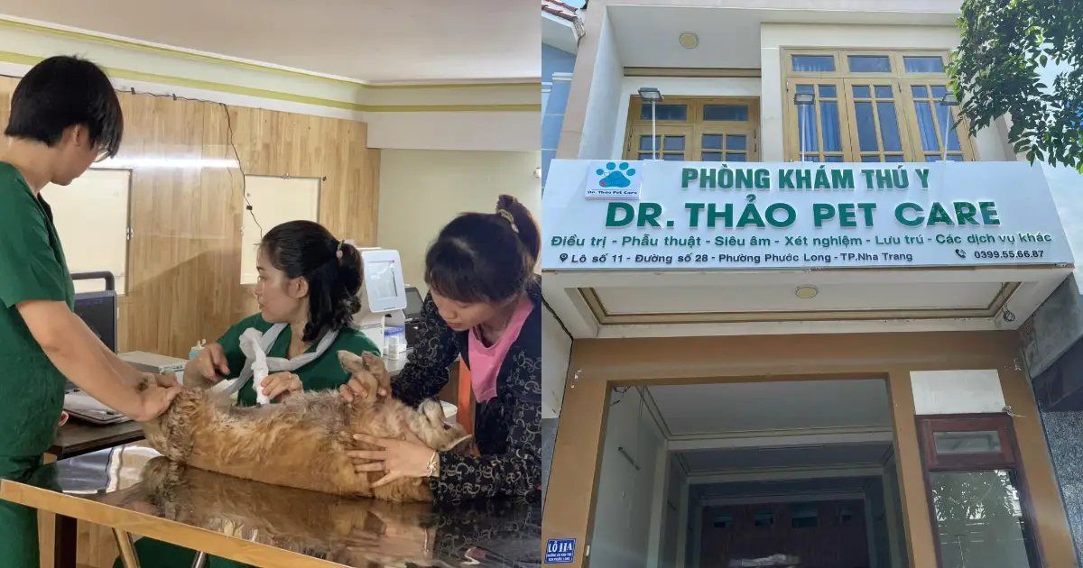 Phòng khám Thú Y Dr. Thảo Pet Care